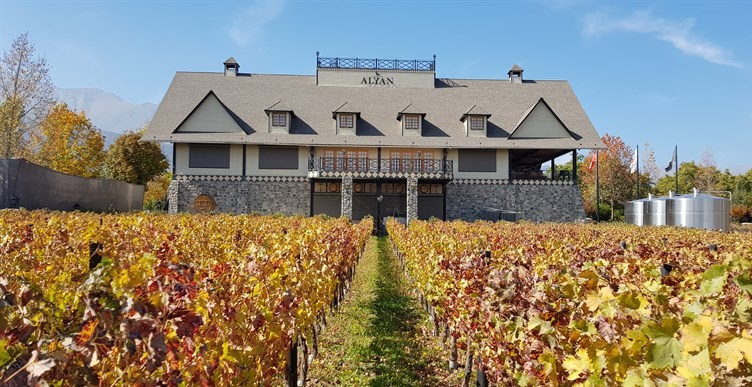 vinicola-Alyan817