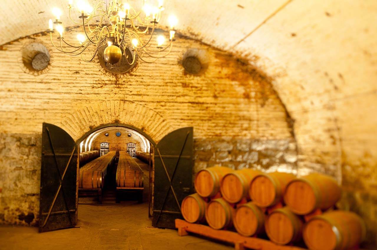 Bodegas-da-Vinícola-Cousiño-Macul